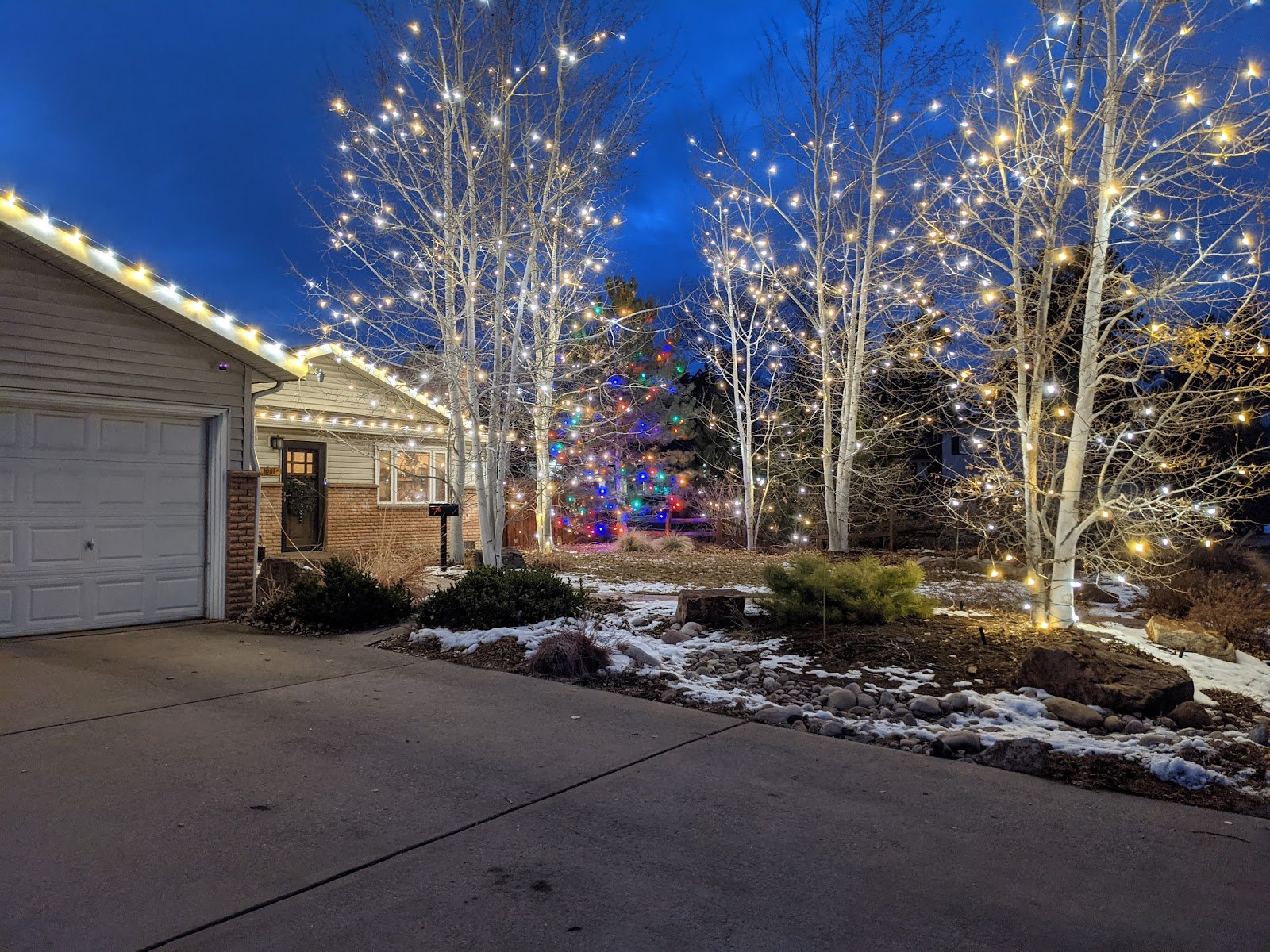 Lotic Irrigation Holiday Lights 07 - Lotic Irrigation | Irrigation Repair & Lawn Maintenance | Fort Collins, CO | Experienced Professionals