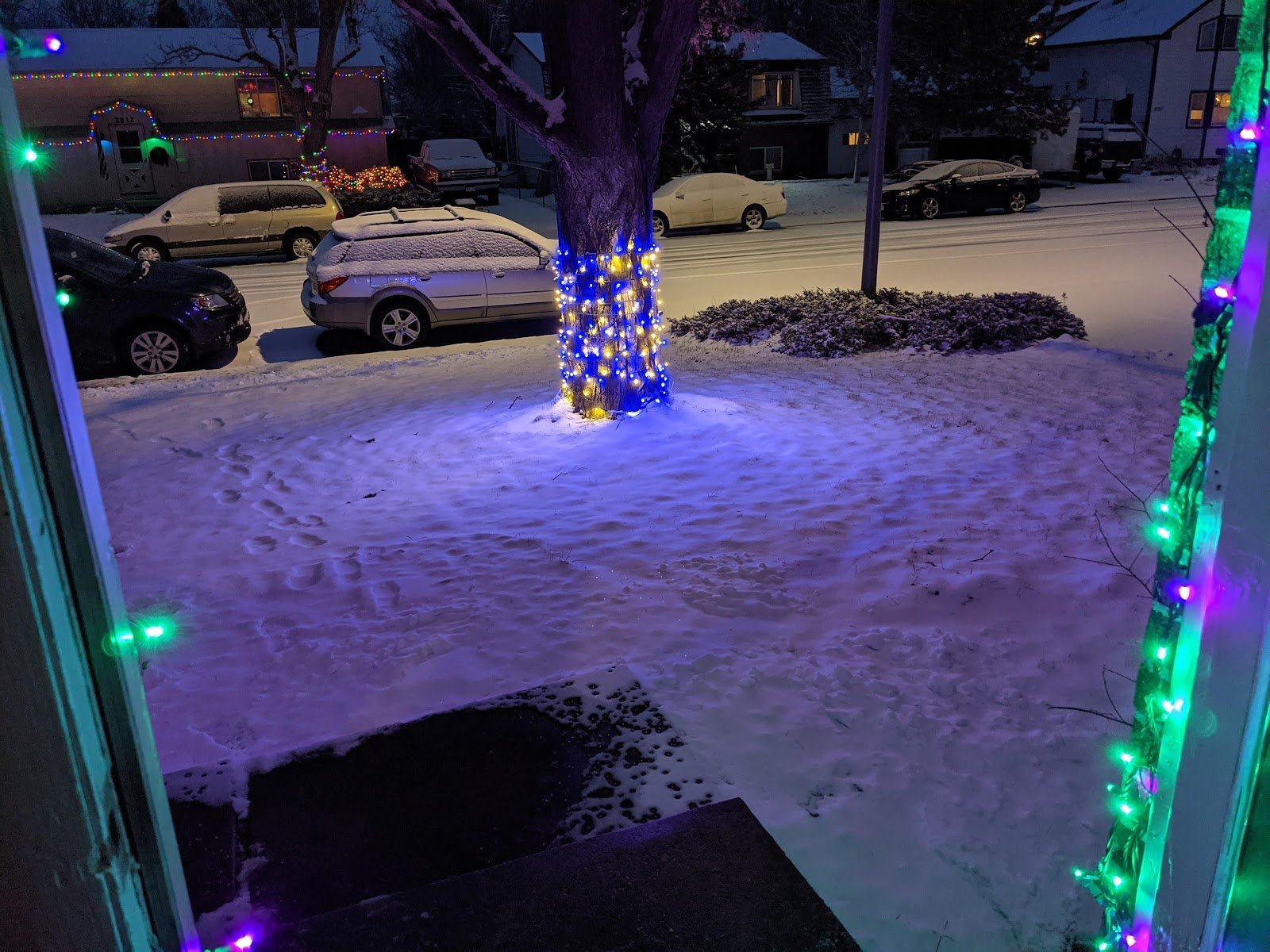 Lotic Irrigation Holiday Lights 14 - Lotic Irrigation | Irrigation Repair & Lawn Maintenance | Fort Collins, CO | Experienced Professionals