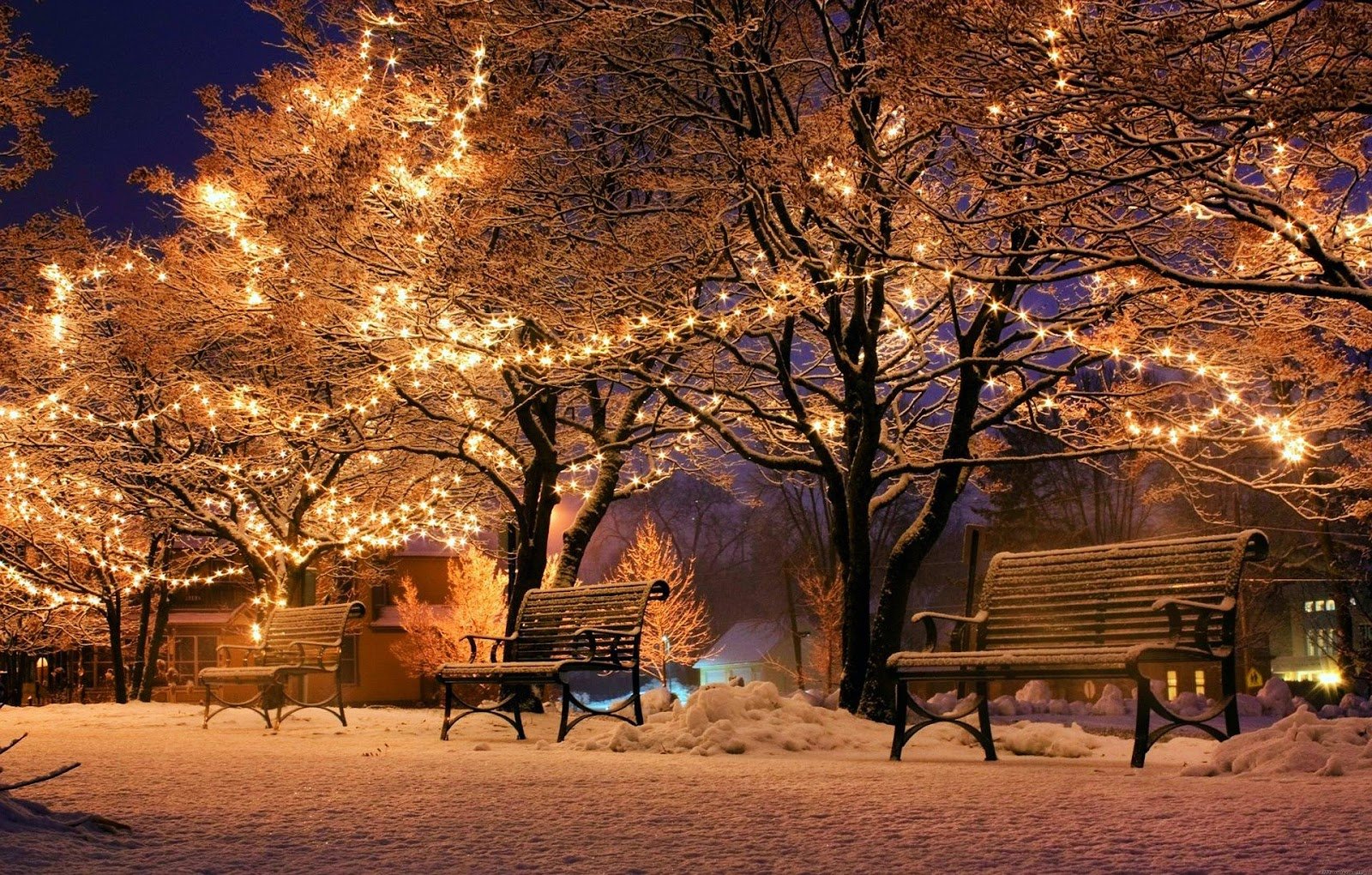 Lotic Irrigation Holiday Lights 18 - Lotic Irrigation | Irrigation Repair & Lawn Maintenance | Fort Collins, CO | Experienced Professionals