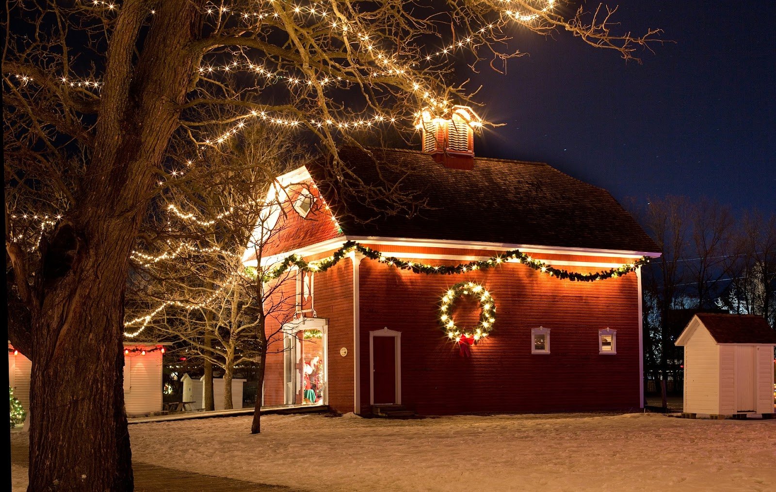 Lotic Irrigation Holiday Lights 21 - Lotic Irrigation | Irrigation Repair & Lawn Maintenance | Fort Collins, CO | Experienced Professionals