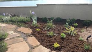 Nature's Canvas: Transform Your Yard with Our Landscape Magic #1 13 - Lotic Irrigation Plant Tree Installation 11 min - Lotic Irrigation | Irrigation Repair & Lawn Maintenance | Fort Collins, CO | Experienced Professionals Lotic Irrigation Plant Tree Installation 11 min - Lotic Irrigation | Irrigation Repair & Lawn Maintenance | Fort Collins, CO | Experienced Professionals