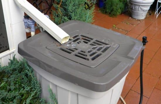 Lotic Irrigation Rainwater Catchment 16 e1778041830966 - Lotic Irrigation | Irrigation Repair & Lawn Maintenance | Fort Collins, CO | Experienced Professionals