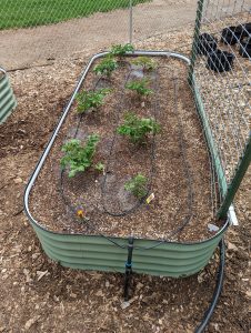 PXL 20230513 195149675 - Lotic Irrigation | Irrigation Repair & Lawn Maintenance | Fort Collins, CO | Experienced Professionals