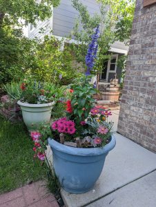 Nature's Canvas: Transform Your Yard with Our Landscape Magic #1 7 - PXL 20230609 150717494 - Lotic Irrigation | Irrigation Repair & Lawn Maintenance | Fort Collins, CO | Experienced Professionals PXL 20230609 150717494 - Lotic Irrigation | Irrigation Repair & Lawn Maintenance | Fort Collins, CO | Experienced Professionals