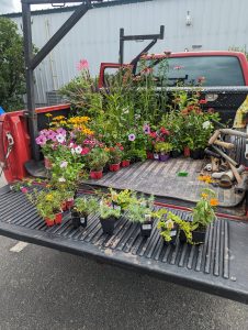 PXL 20230630 173419697 - Lotic Irrigation | Irrigation Repair & Lawn Maintenance | Fort Collins, CO | Experienced Professionals