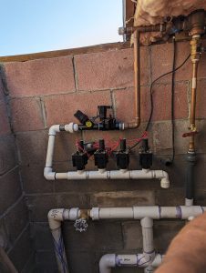 Nature's Canvas: Transform Your Yard with Our Landscape Magic #1 3 - PXL 20230829 230421668 - Lotic Irrigation | Irrigation Repair & Lawn Maintenance | Fort Collins, CO | Experienced Professionals PXL 20230829 230421668 - Lotic Irrigation | Irrigation Repair & Lawn Maintenance | Fort Collins, CO | Experienced Professionals